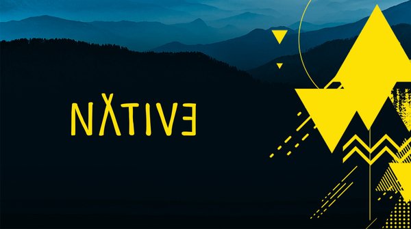 (c) Nativ3.io